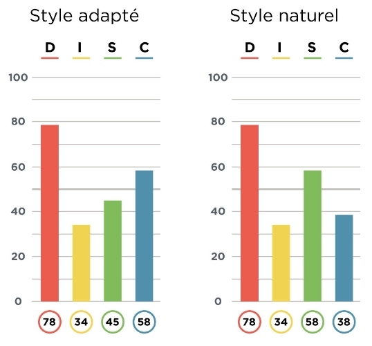 Un profil DISC : style naturel et adapté