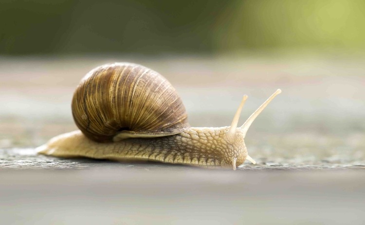 Illustration “Prenons le temps de recruter”