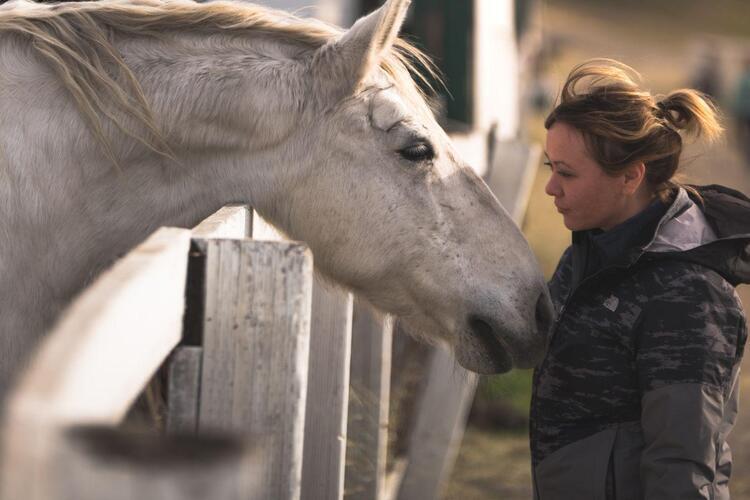 Illustration L'équi-coaching pour identifier de futurs managers