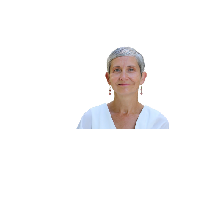 Illustration Comment un CODIR a fait du DISC un outil de fonctionnement quotidien - Fabienne Boisneau